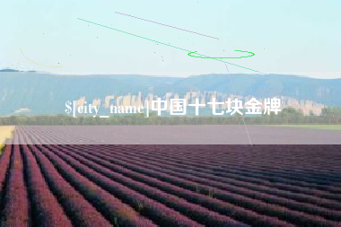 梁山中国十七块金牌