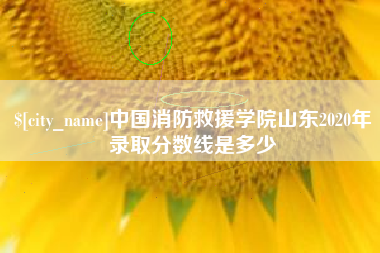 梁山中国消防救援学院山东2020年录取分数线是多少