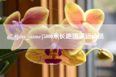 梁山5000米长跑国家运动员