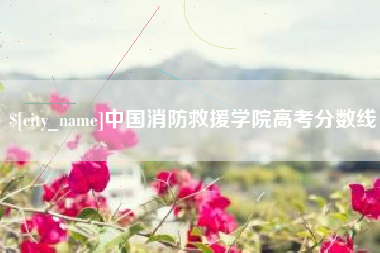 梁山中国消防救援学院高考分数线