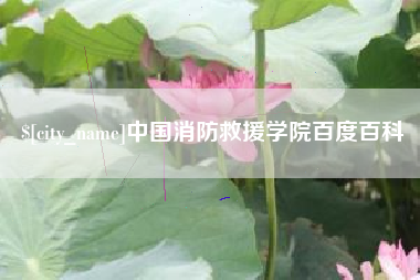 梁山中国消防救援学院百度百科