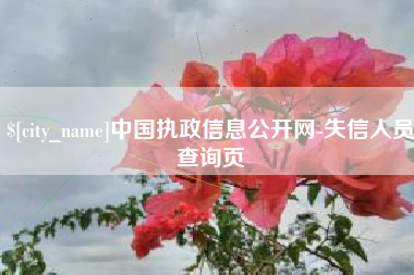 梁山中国执政信息公开网-失信人员查询页