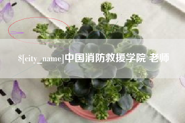梁山中国消防救援学院 老师