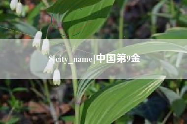 梁山中国第9金