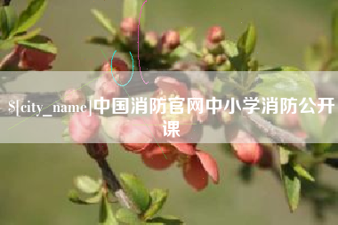 梁山中国消防官网中小学消防公开课