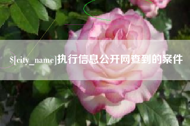 梁山执行信息公开网查到的案件