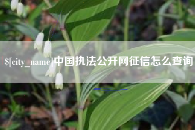 梁山中国执法公开网征信怎么查询