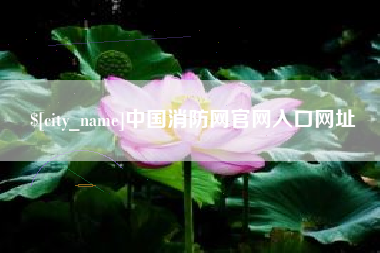 梁山中国消防网官网入口网址