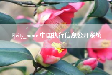 梁山中国执行信息公开系统
