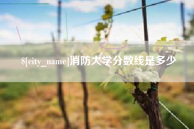 梁山消防大学分数线是多少