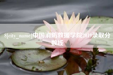 梁山中国消防救援学院2019录取分数线