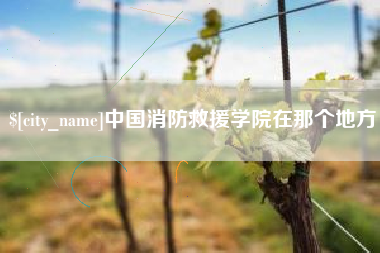 梁山中国消防救援学院在那个地方