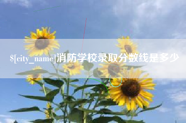 梁山消防学校录取分数线是多少