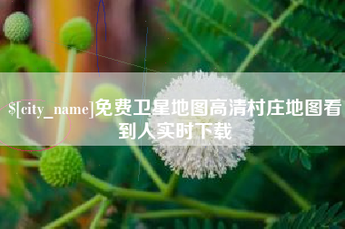 梁山免费卫星地图高清村庄地图看到人实时下载
