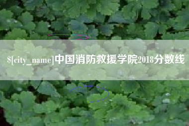 梁山中国消防救援学院2018分数线