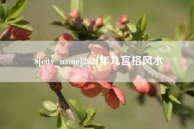 梁山2021年九宫格风水