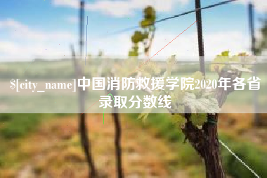 梁山中国消防救援学院2020年各省录取分数线