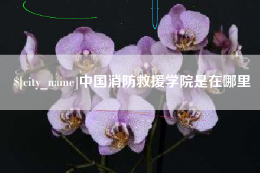梁山中国消防救援学院是在哪里