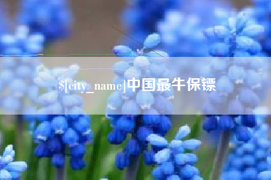 梁山中国最牛保镖