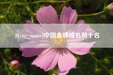 梁山中国金牌排名前十名