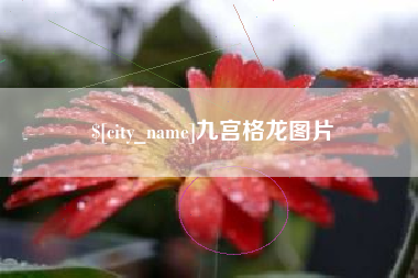 梁山九宫格龙图片