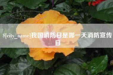 梁山我国消防日是哪一天消防宣传日