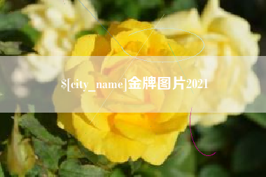 梁山金牌图片2021