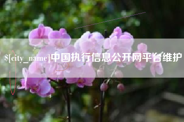 梁山中国执行信息公开网平台维护