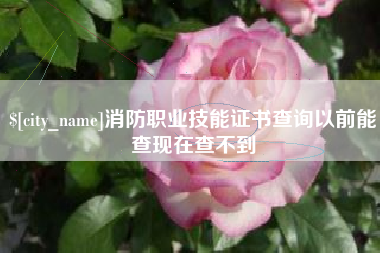 梁山消防职业技能证书查询以前能查现在查不到