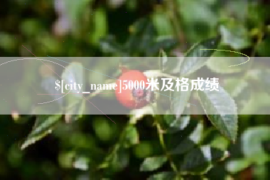 梁山5000米及格成绩