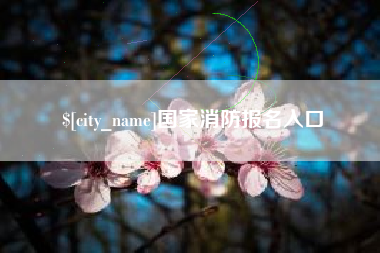 梁山国家消防报名入口