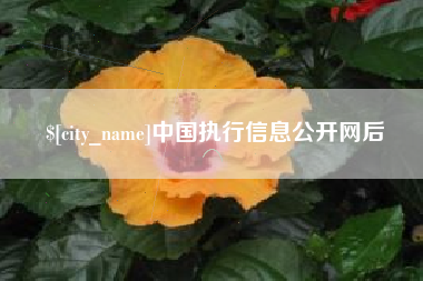 梁山中国执行信息公开网后