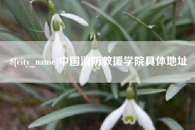 梁山中国消防救援学院具体地址