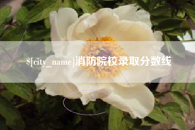 梁山消防院校录取分数线