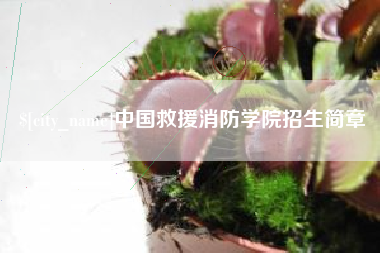 梁山中国救援消防学院招生简章