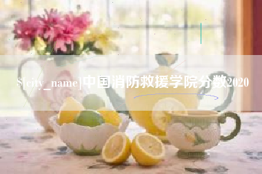 梁山中国消防救援学院分数2020
