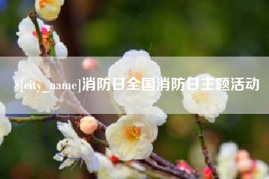 梁山消防日全国消防日主题活动