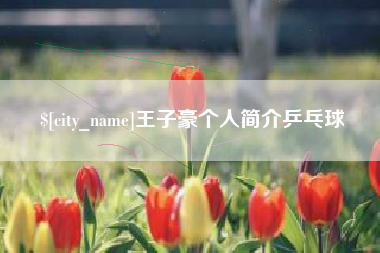 梁山王子豪个人简介乒乓球