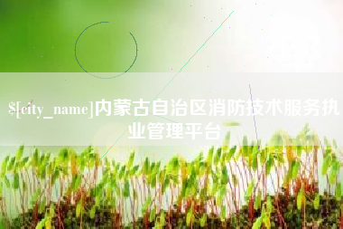 梁山内蒙古自治区消防技术服务执业管理平台