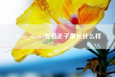 梁山看看王子豪长什么样