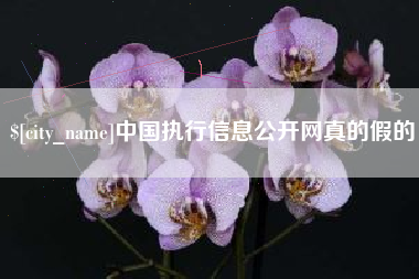 梁山中国执行信息公开网真的假的