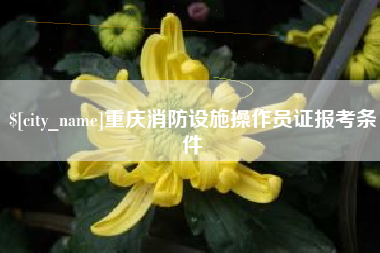 梁山重庆消防设施操作员证报考条件