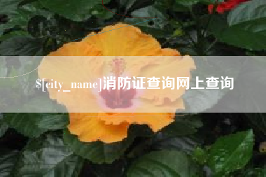 梁山消防证查询网上查询