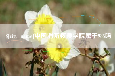 梁山中国消防救援学院属于985吗