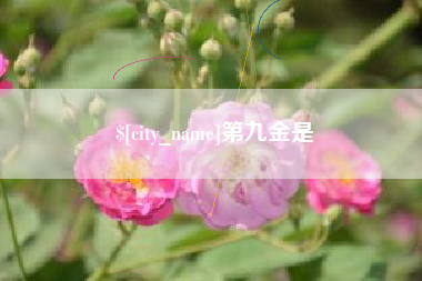 梁山第九金是