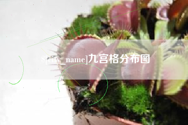 梁山九宫格分布图