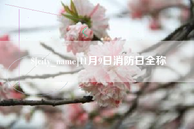梁山11月9日消防日全称
