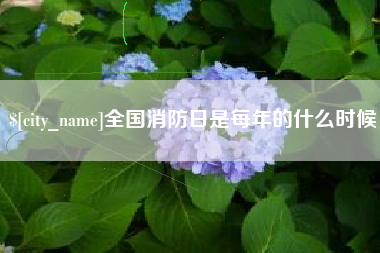梁山全国消防日是每年的什么时候