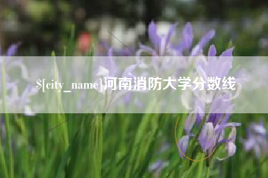梁山河南消防大学分数线
