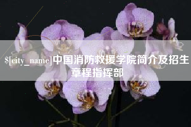 梁山中国消防救援学院简介及招生章程指挥部